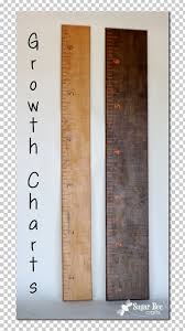 Growth Chart Child Infant Ruler Human Height Png Clipart