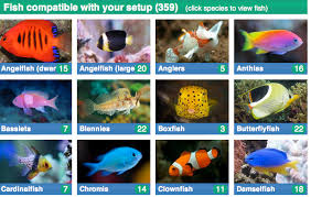 A Well Done Marine Compatibility Guide Aquarium Hobbyist Blog