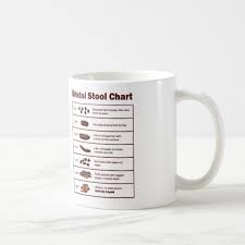 Bristol Stool Chart Gift Mug Cup Nurse Hca Present