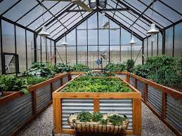20 awesome backyard greenhouse ideas