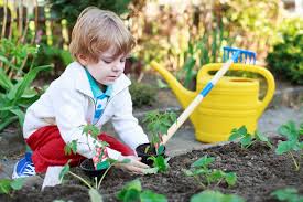 5 tips for gardening with children dsatco