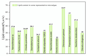 microalgae biom and lipids