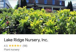 Lake Ridge Nursery Inc Welcome