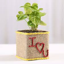 And it def spoke for itself. looking for even more valentine's day gift ideas? Valentine Gifts For Him Online Best Romantic Valentine S Day Gifts For Men In India Ferns N Petals