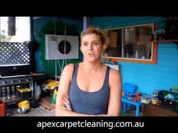 apex carpet cleaning you