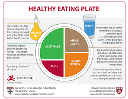 comparison of the healthy eating plate