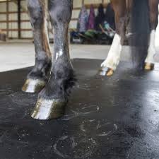 best horse barn aisle flooring ideas
