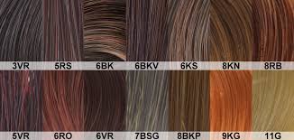 goldwell hair color chart goldwell topchic hair colour chart best hair color 2017