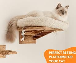 Wall Mounted Floating Cat Perch Bed