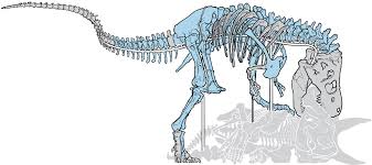 We used to use sweet baby ray's barbecue sauce but have found a new, much easier on the diet grilling sauce put out by sweet baby ray. How A T Rex Is Brought Back To Life Bone By Bone Washington Post