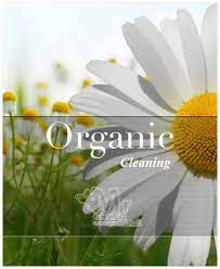 organic carpet cleaning nyc natural