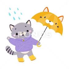 cute cat in rainy day walking with