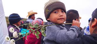 Image result for southern border children Images from the Migrant Crisis