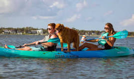 Can dogs ride on kayaks?