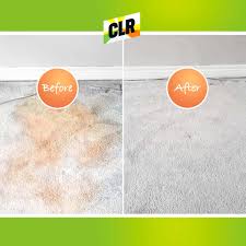 clr stain free carpet floor and
