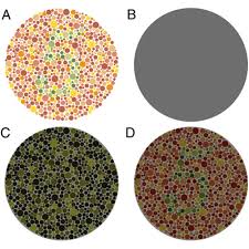 Ishiharas Colour Blindness Book 38 Plate