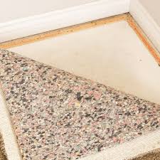 can you kill mold on carpet my stay