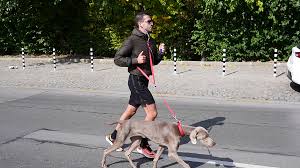 Resultado de imagem para man running with a dog