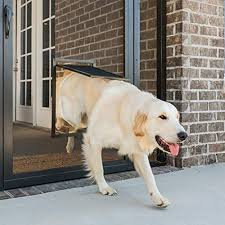 Cats always have and will continue to scratch at window screens, resulting in torn screens that pose an escape or falling hazard. 5 Best Storm Door With Dog Door Choices In 2020 Buyers Guide