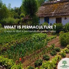 permaculture gardens