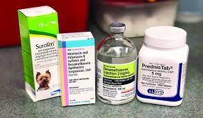 steroids for dogs pros cons whole