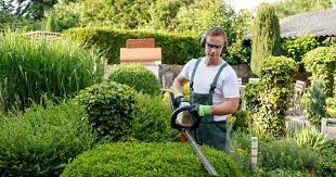 Best Gardening Services In Canberra
