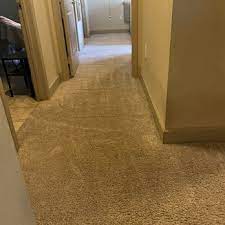 mr tiger carpet cleaning updated