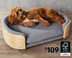 small pet sofa offer at aldi