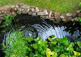 The Diffe Types Of Backyard Ponds