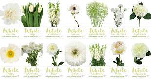 white wedding flowers guide types of