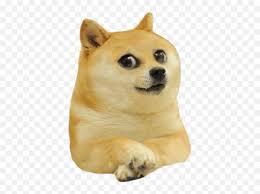 This is a doge icon. Dogelore Doge Png Free Transparent Png Images Pngaaa Com