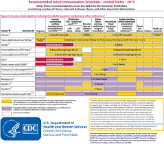 Acip Releases Recommended Adult Immunization Schedule For