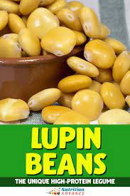 lupin beans nutrition facts benefits