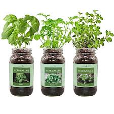 The carbon steel container is covered for less evaporation and can hold approximately. 12 Best Indoor Herb Garden Kits To Grow At Home Urbanorganicyield Com