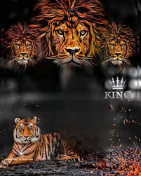 lion king cb editing background hd 4k