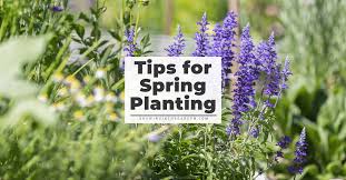 Spring Garden Checklist
