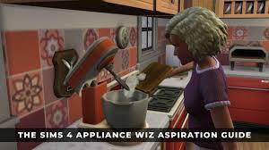 sims 4 appliance wiz aspiration guide