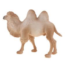 Wild Zoo Jungle Desert Animal Model Solid Plastic Camel Figure Toy Education Ebay