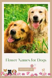 flower names for dogs a garden of 200