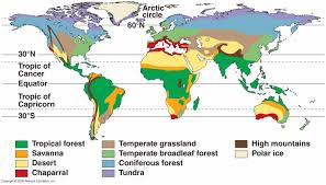 Tropical rain forests are woodlands around the equator with a lot of vegetation that is evergreen. How Do Biomes Change With Latitude Socratic