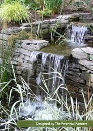 Water Feature Designs Pros And Cons
