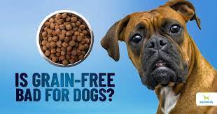 Is Grain Free Bad For Dogs Dogs