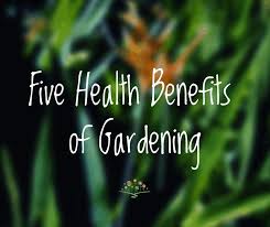 five health benefits of gardening
