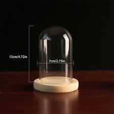 Glass Dome Display Bell Jar For Figure