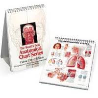 The Worlds Best Anatomical Chart Series By Anatomical Chart