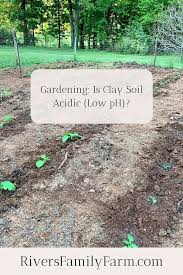 Gardening Is Clay Soil Acidic Low Ph