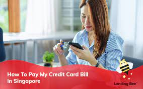 how to pay my credit card bill dbs