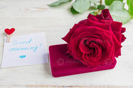 jewelry gift box and bautiful red rose
