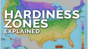 what plant hardiness zones don t tell