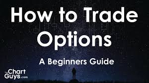 How To Trade Options A Beginners Introduction To Trading Stock Options By Chartguys Com